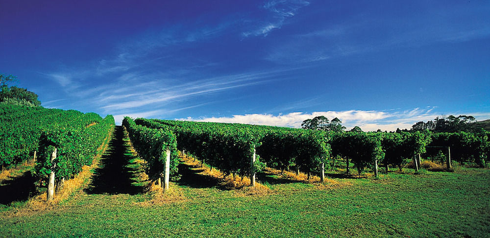 Vineyard Cottages - Kumeu Waimauku Exterior foto