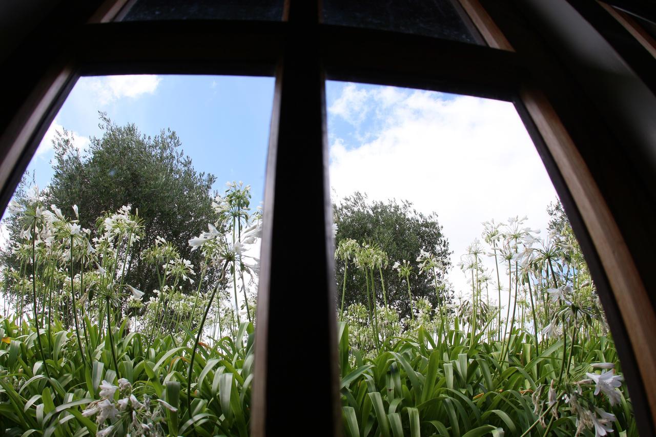 Vineyard Cottages - Kumeu Waimauku Exterior foto